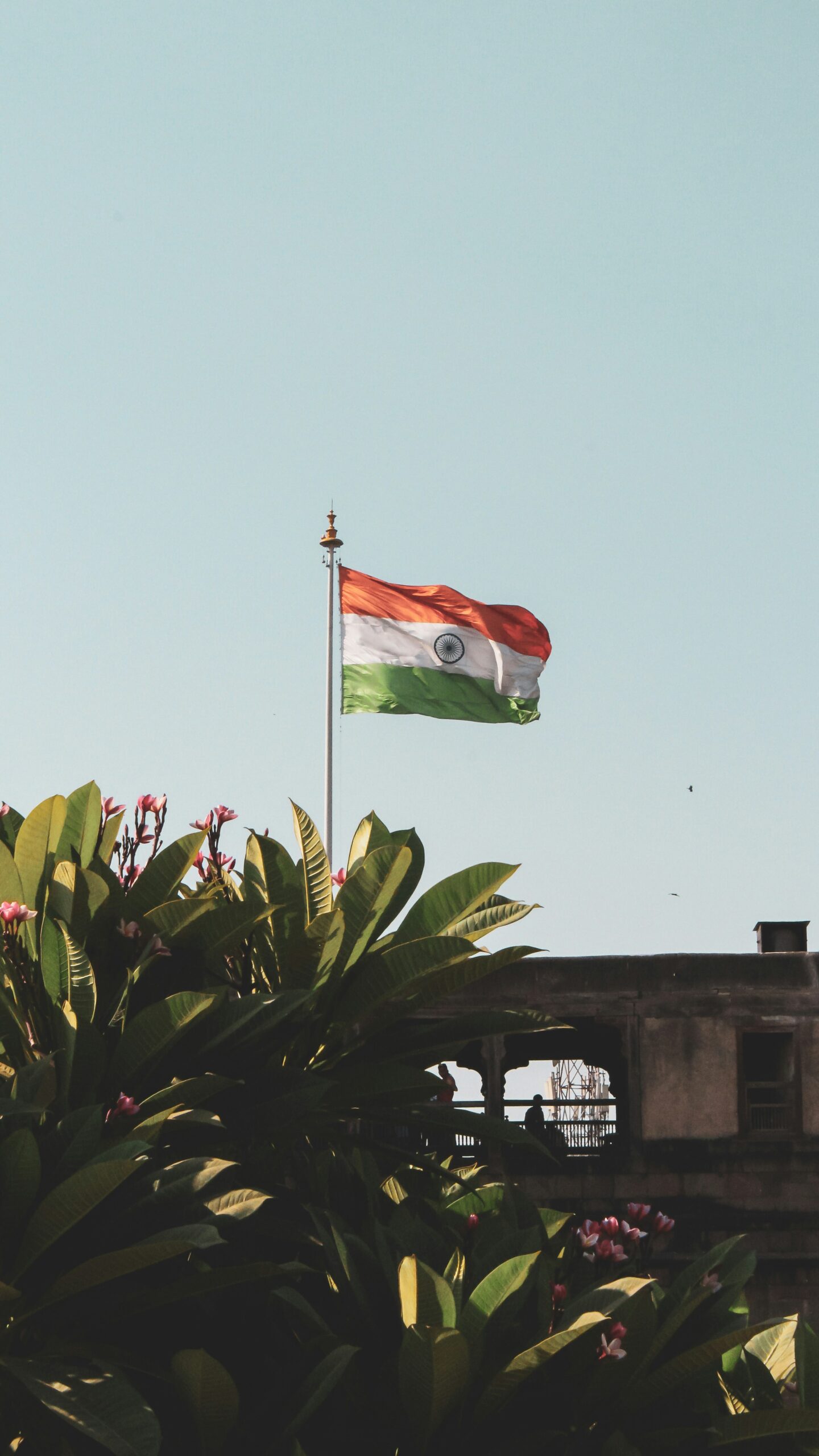 Avvyx India